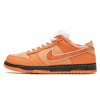 Nike SB Dunk Low Lobster Orange (Экозамша)