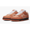 Nike SB Dunk Low Lobster Orange (Экозамша)