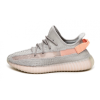 Adidas Yeezy Boost 350 V2 (True Form)