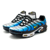 Nike Air Max TN Plus (Белые с синим)