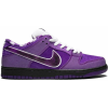 Nike Sb Dunk Low Purple Lobster