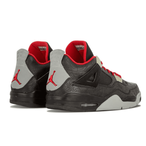 Nike Air Jordan 4 Retro Raptors Drake Ovo (Коричневые)