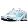 Nike Air Max TN Plus 3 White/Blue