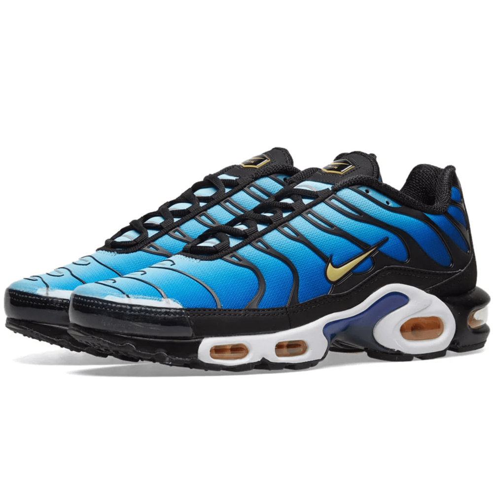 Nike air max shop tn blue and orange