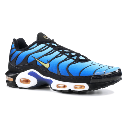 Nike Air Max Tn Plus Blue