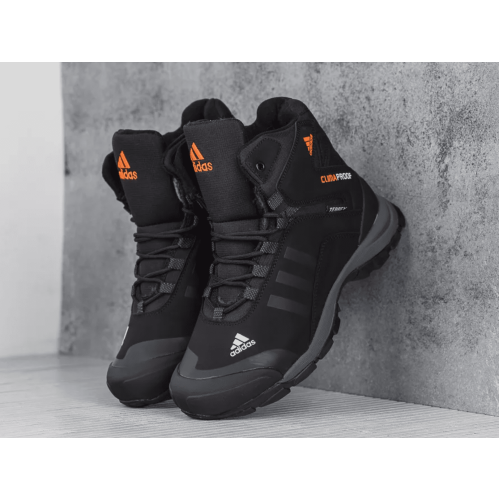 Adidas Terrex Swift R2 Mid